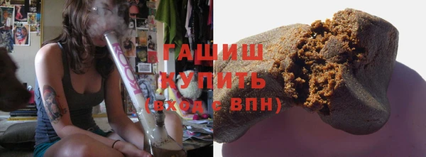 прущие грибы Белокуриха