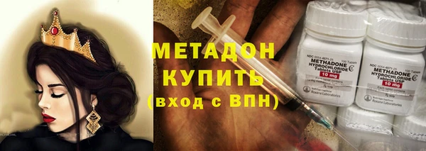 прущие грибы Белокуриха