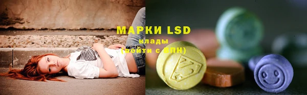 прущие грибы Белокуриха