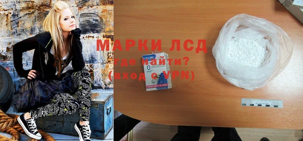 прущие грибы Белокуриха