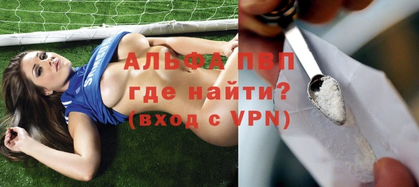 прущие грибы Белокуриха