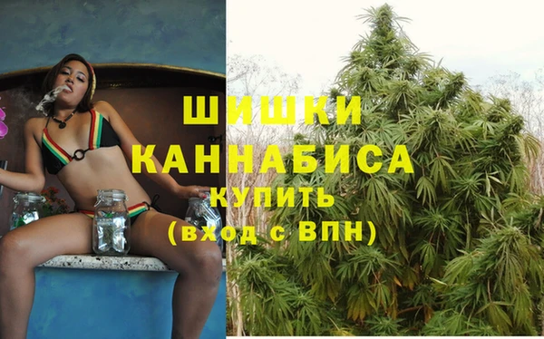 прущие грибы Белокуриха
